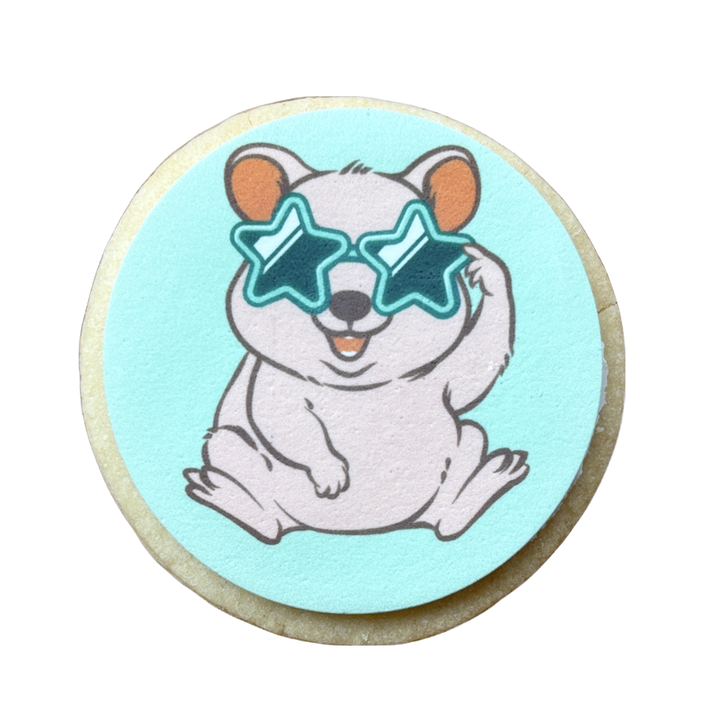 Starglasses Quokka
